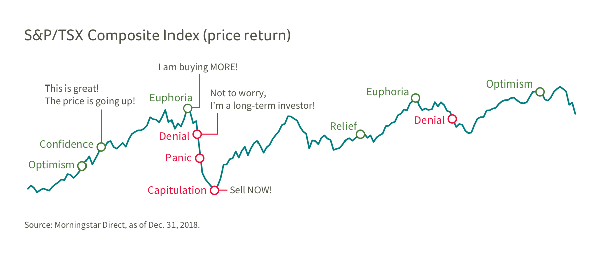 OVERVIEW: This graph portrays the price return of the S&P/TSX Composite Index from January 2004 to December 2018, showing an upward trajectory in the market however with market volatility, investor emotions and illogical reactions along the way. VALUES: Numerical values presented on the image: There are no numerical values shown on the image. PRESENTATION: The line graph represents the value of the S&P/TSX. Positive emotions are represented on the positive trending line while negative emotions are represented on the negative trending line.